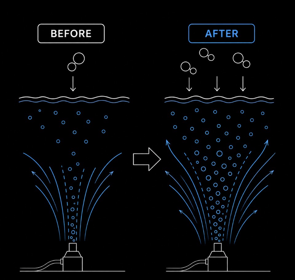 Oxygen Dissolution